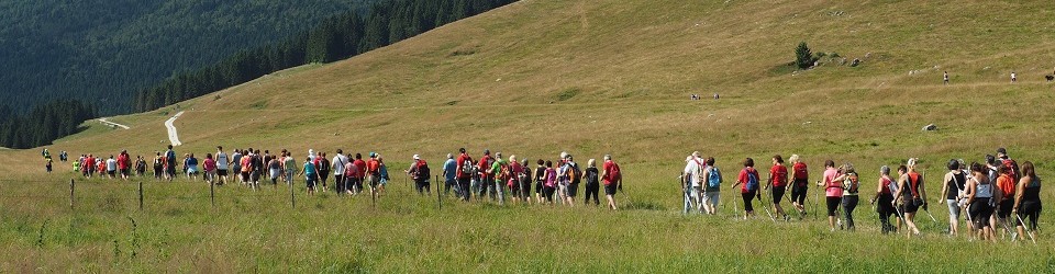 SCUOLA NORDIC WALKING BASSANO